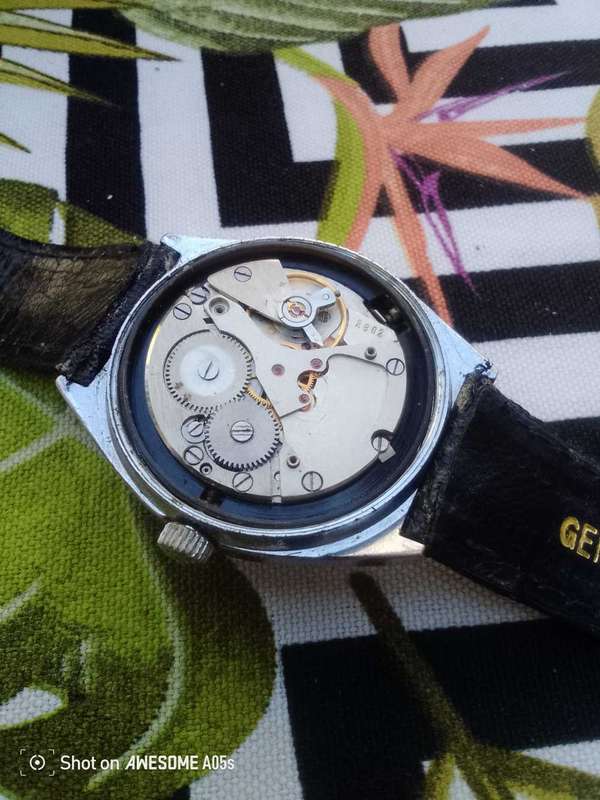 Cornavin 23 jewel watch