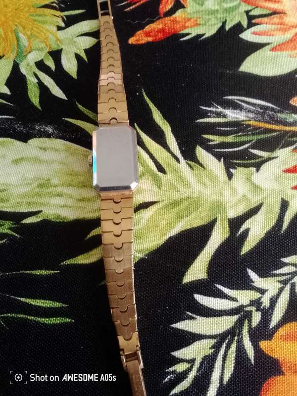 Delfin Edox manual