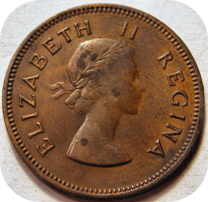 Bargain SA Union: 1955 Half penny 1/2d below 40!