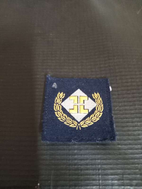 SAAF Mustering Intelligence Badge (D)