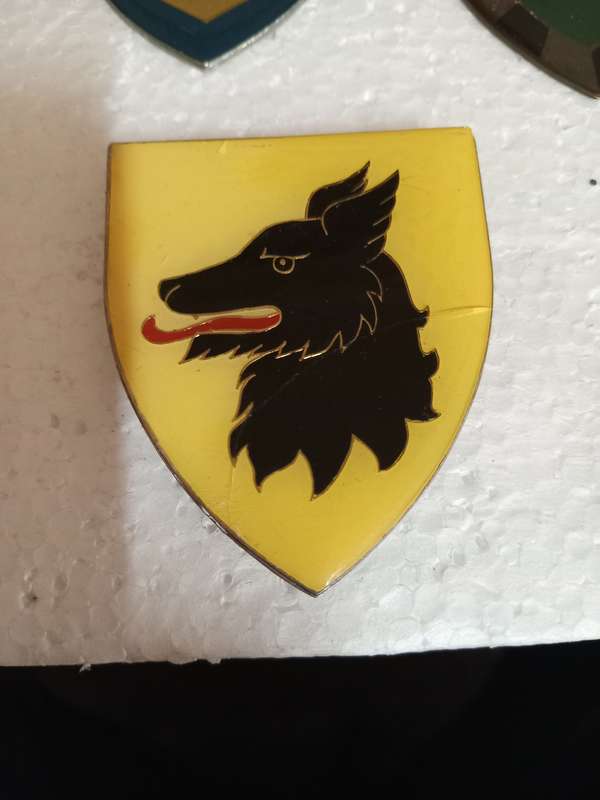 SADF Hay Commando Shoulder Flash pins intact