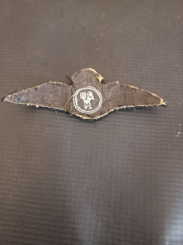 WW2 South African Airforce Wing