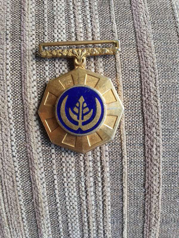 SADF Pro Patria Medal Full Size