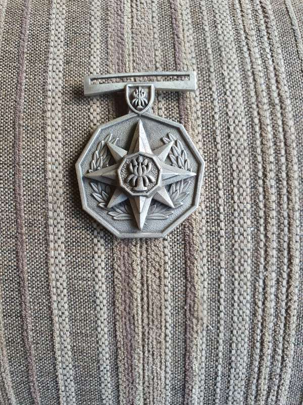 SAP 20 Year Loyal Service Medal Full Size (36780)