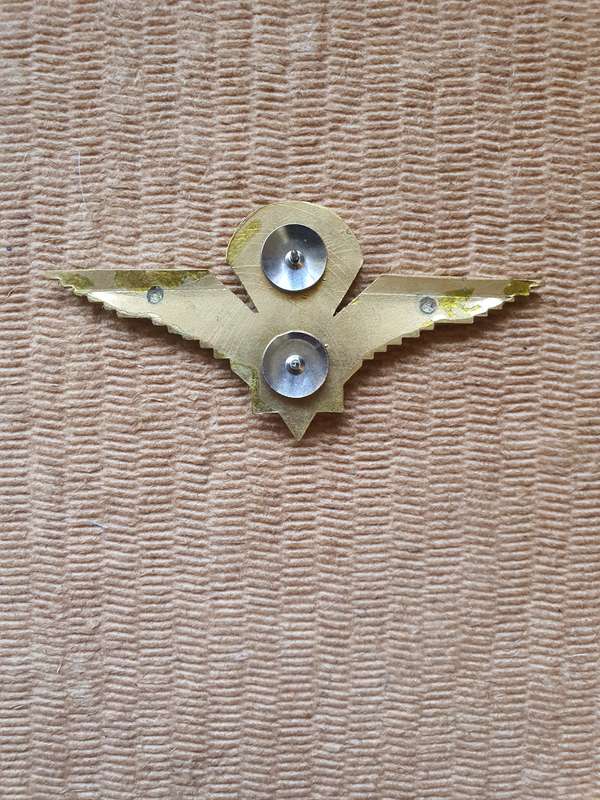 SAP Special Task Force parachute wing. Pre 1980