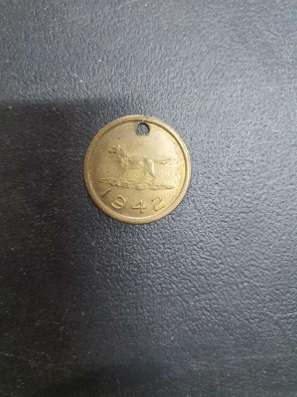 1942 Kimberley Dog License, Yes you had to have one to ride a dog