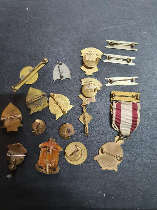 Various Medical Badges and Pins
