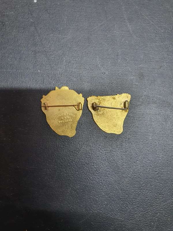 1961 South African Republic Day Pins