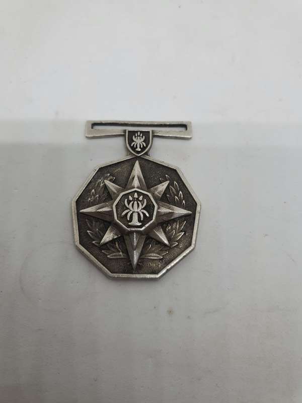 SAP 20 Year Loyal Service Medal Full Size (13212)