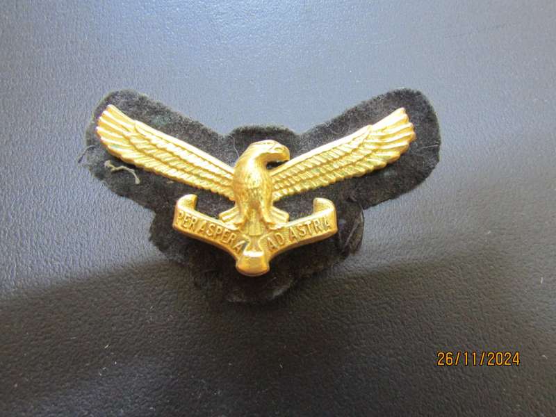 SADF Airforce Beret Badge.