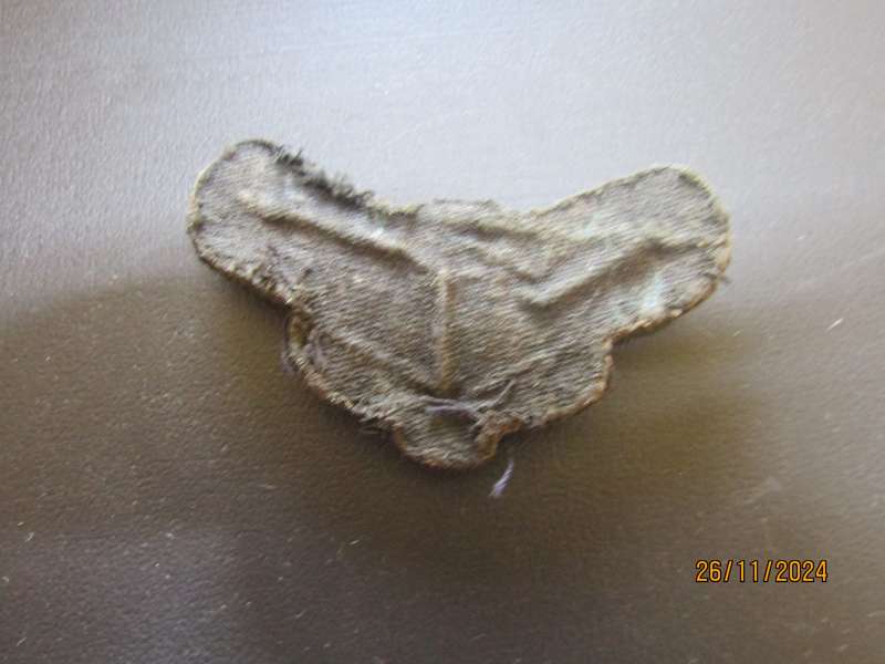 SADF Airforce Beret Badge.