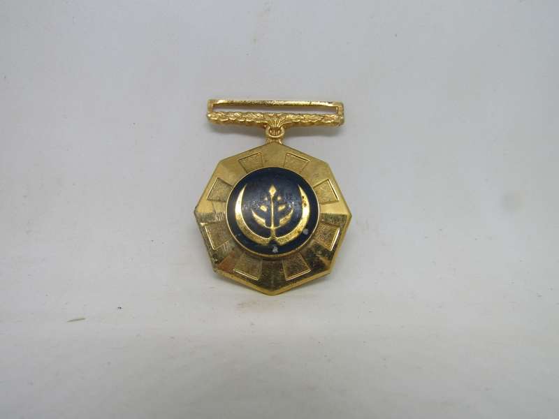 SADF Pro Patria Full size Medal (A)