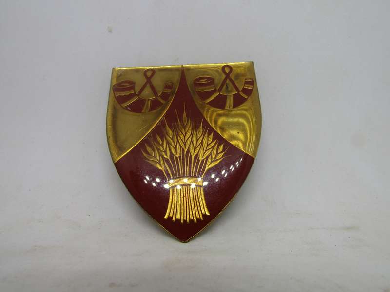 South African Defence Force SADF Wepener Commando Shoulder Flash Badge. Pins intact.