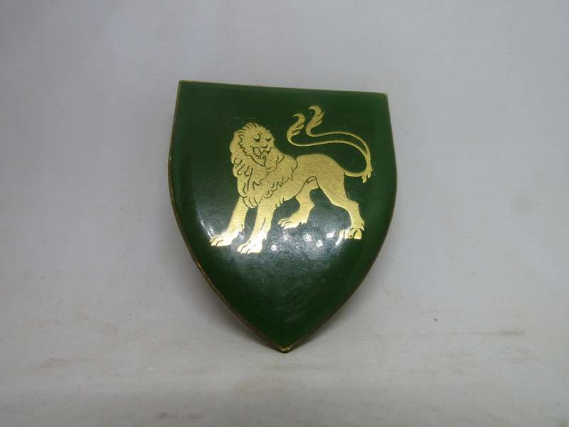 South African Defence Force SADF Hillcrest Commando Shoulder Flash Badge. 2 Pins intact.