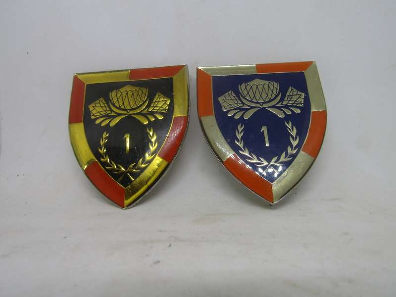 2  SADF One SSB Regiment Shoulder Flashes Badge. Pin intact.