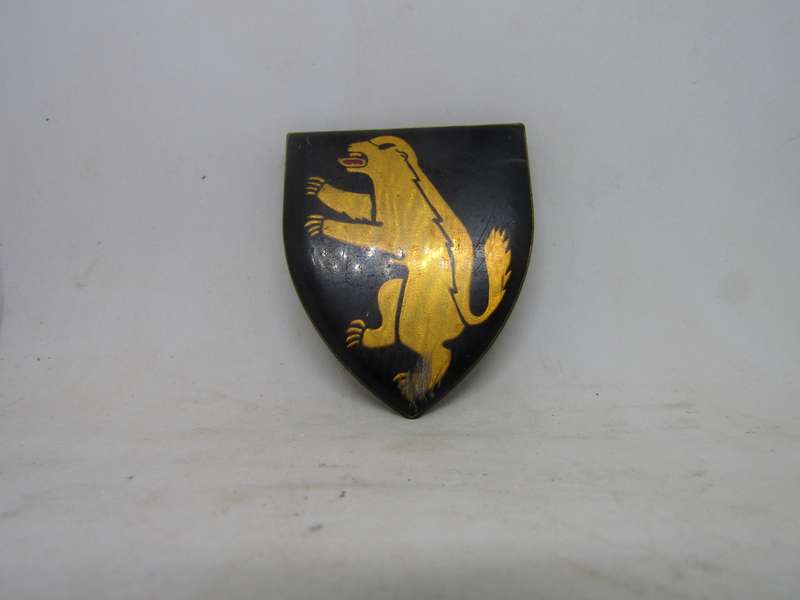 SADF 1 SA Infantry Battalion  Shoulder Flashes Badge. Pin intact.