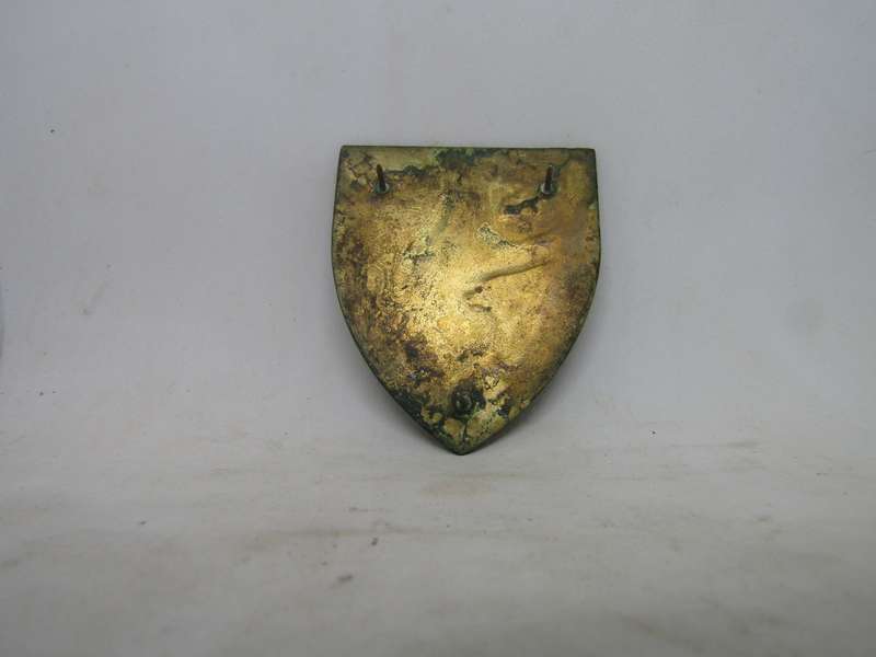 SADF 1 SA Infantry Battalion  Shoulder Flashes Badge. Pin intact.