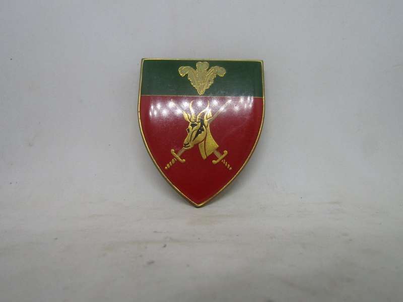 SADF Southern Cape Command Shoulder Flashes Badge. Pin intact.