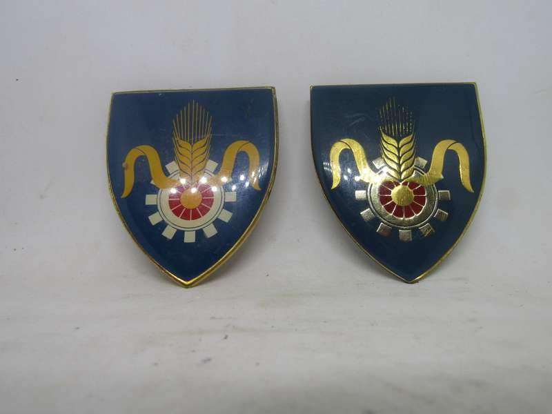 2 Types SADF Quartermaster  General Shoulder Flashes Badge. Pin intact.