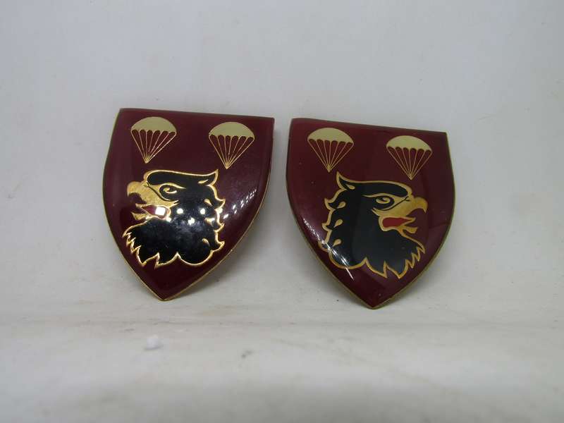 Pair of SADF 2 Parachute Battalion Shoulder Flashes Badge. Pin intact.