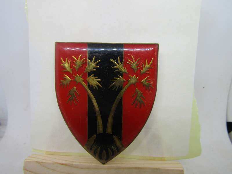 SADF SWA Provost  Flashes . Pins intact.