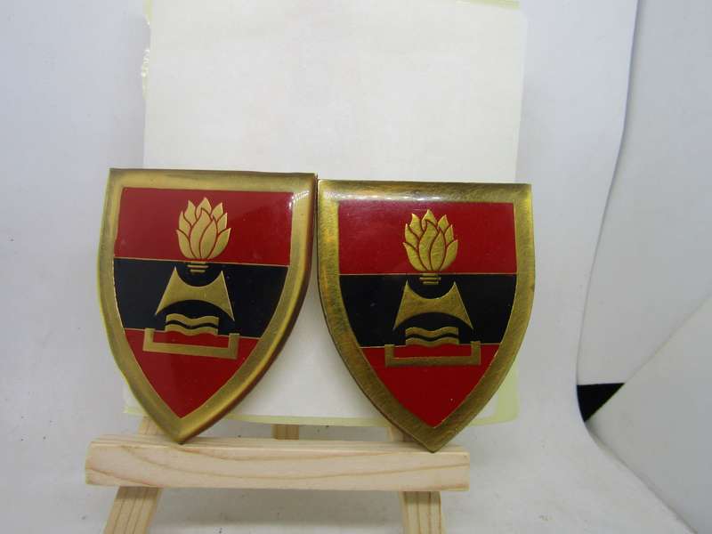 SADF Army Engineers Corps Pair Flashes . Pins intact.