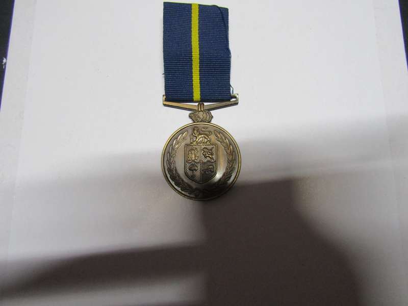 SAP Faithfull Service Medal (Z)