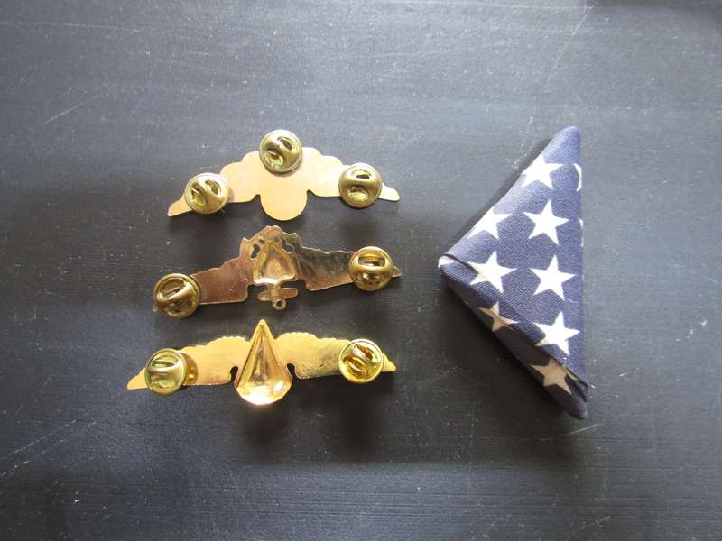 Various Northen America Pilot Wings. Think is Replica's