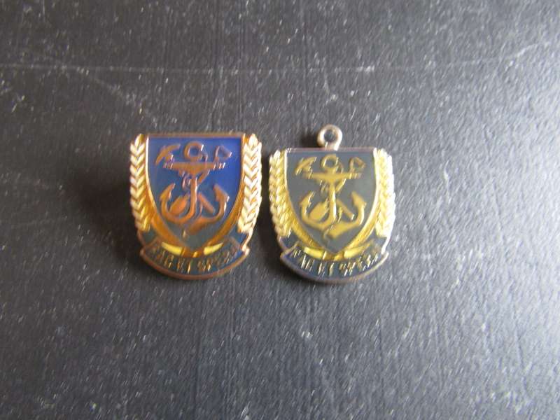 SA Navy Pin and Pendant