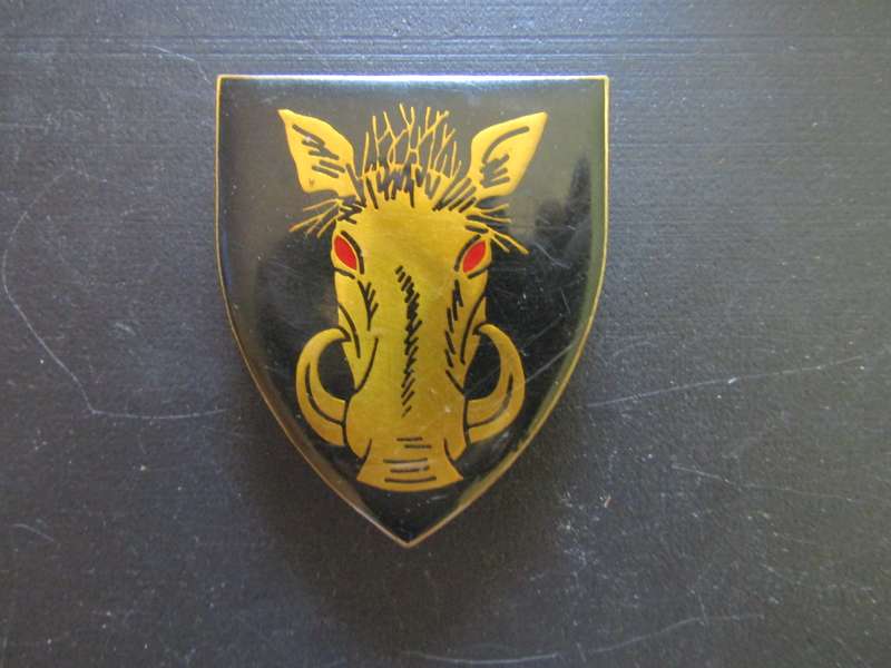 SADF - Soutpansberg Military Area Flash. Pins intact