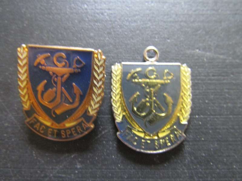 SA Navy Badge and pin