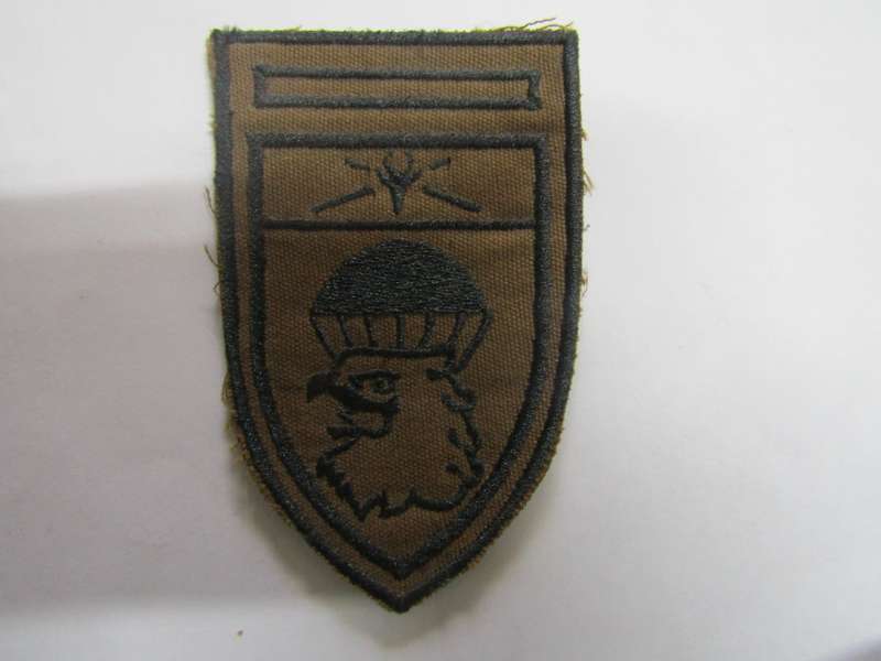 SADF Parachute Brigade HQ Nutria Patch
