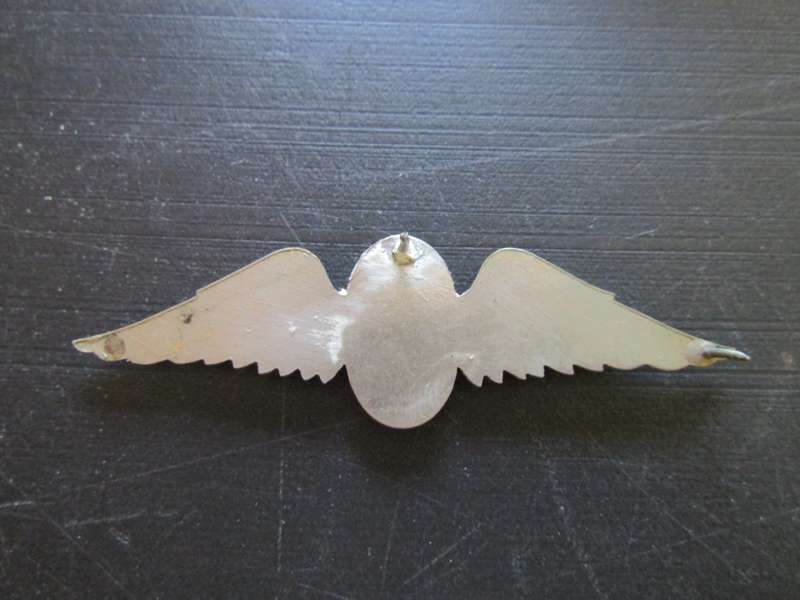 Suspected SADF Parabats Instructor's wings 1 pin missing