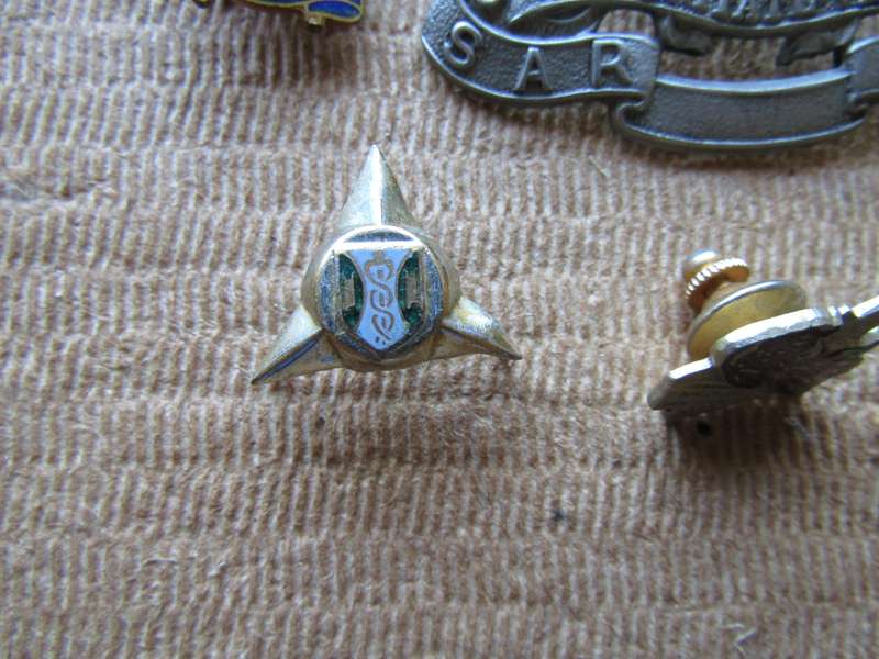 SADF Various Badges Lot