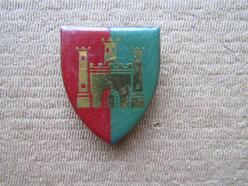 SADF Cape Garrison Artillery Flash . Pins intact
