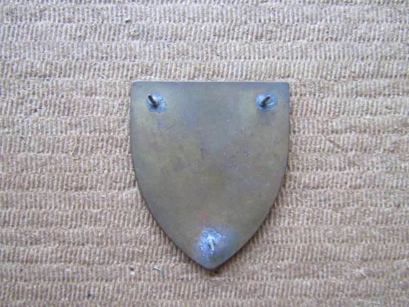 SADF Cape Garrison Artillery Flash . Pins intact