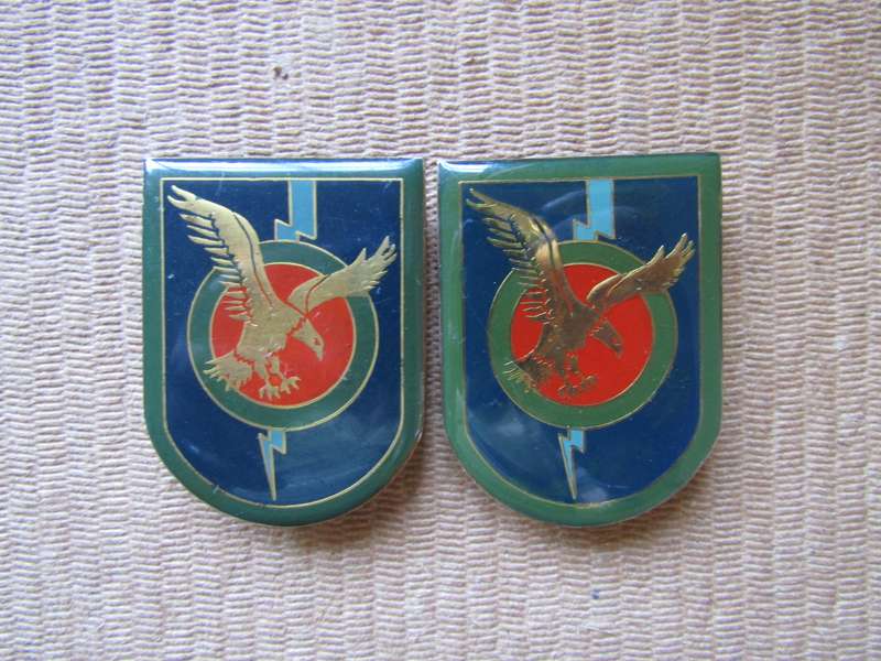 2 SAP Special Task Force Shoulder Flash pins intact