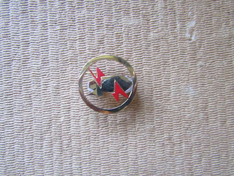 SADF Instructor Explosive Ordinance Disposal Proficiency Badge. Pins intact