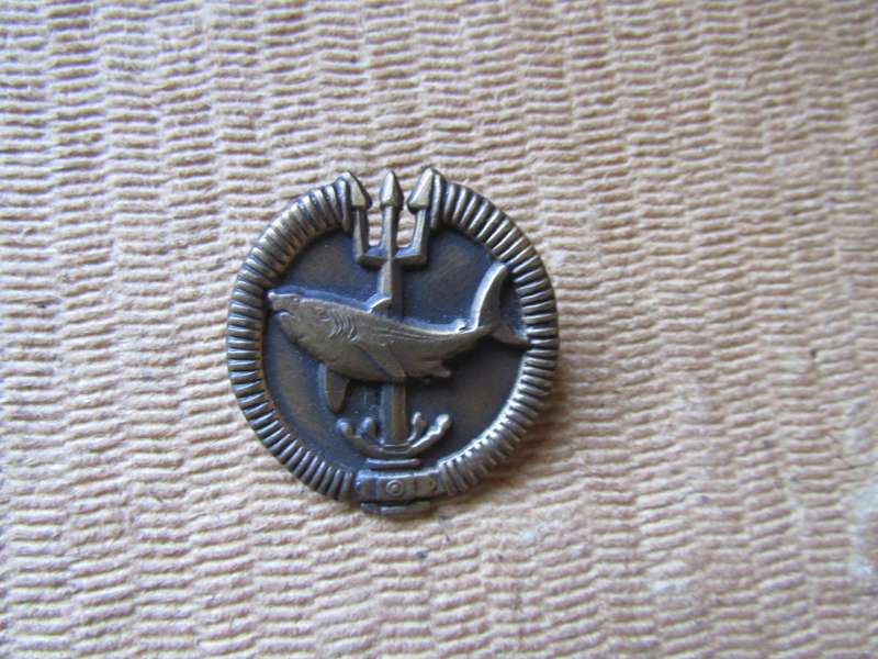 SADF Recce 1st Class Full Size Attack Qualification Badge. Pins Intact. No Number.