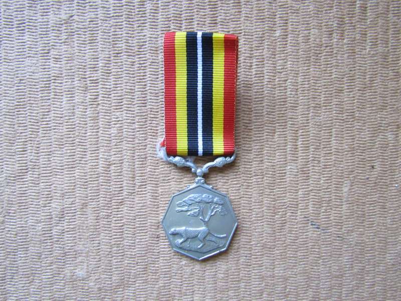 SADF Southern Africa Medal. Full Size