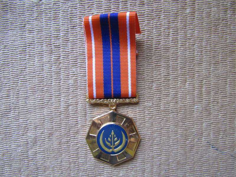 SADF Pro Patria Fixed Type Medal. Full Size