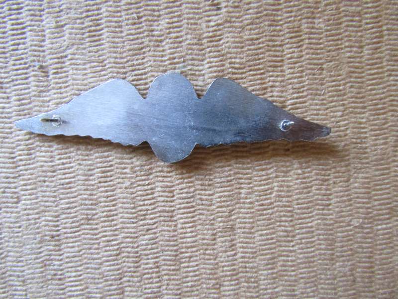 SADF Parachute Free Fall Instructor wings Badge. Chrome and Enamel.