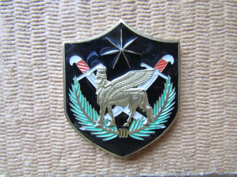 Multi National Force Iraq Challenge Coin. (H)