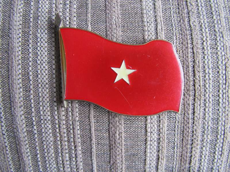 Assistant Division Commander Support  Challenge Coin (A83)