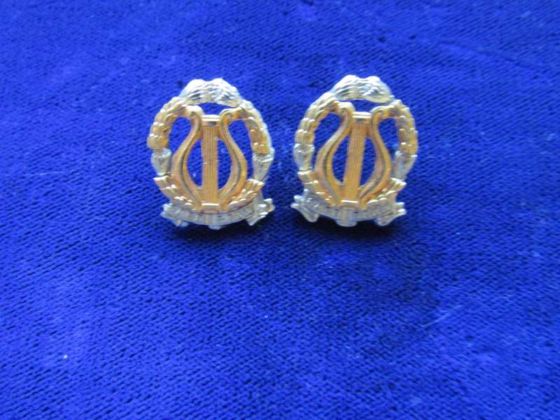 Pair of SA Permanent Force Band Collar Badges. Pins intact.