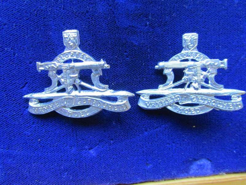 Pair of Regiment Petrus Steyn Collar Badges. Pins intact.