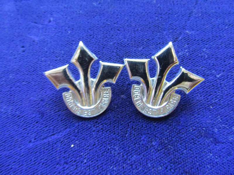 Pair of Corps of Professional Officers Collar Badges. Pins intact.