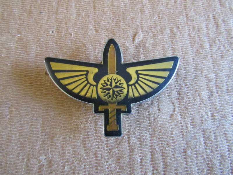 Proposed Beret Badge of 4 Recce Trail 1979