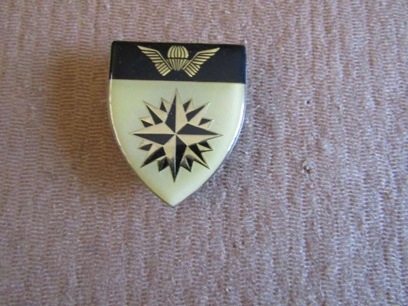 5 Reconnaissance Regiment. Pins intact