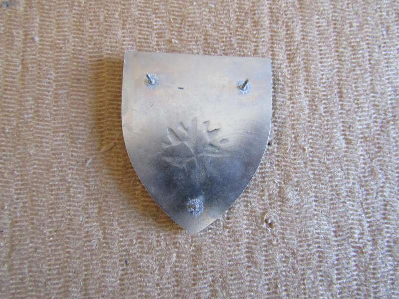 5 Reconnaissance Regiment. Pins intact